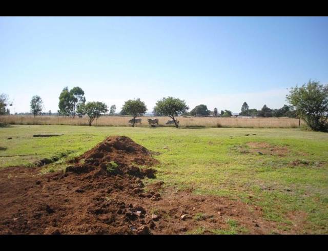 FARM FOR SALE IN HELDERSTROME